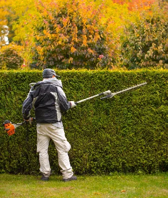 garden-movers