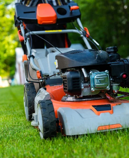 garden-movers